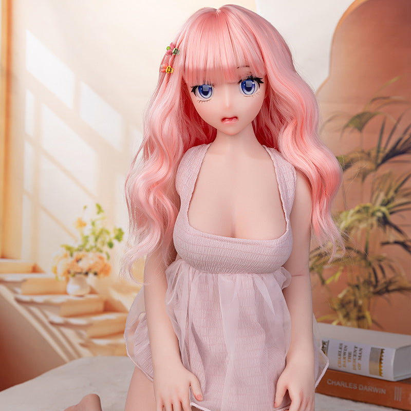 Nova AI anime silicone companion doll vs holographic anime girlfriend — 2026 comparison | 2ddolls.com
